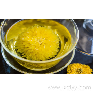organic chrysanthemum flower tea